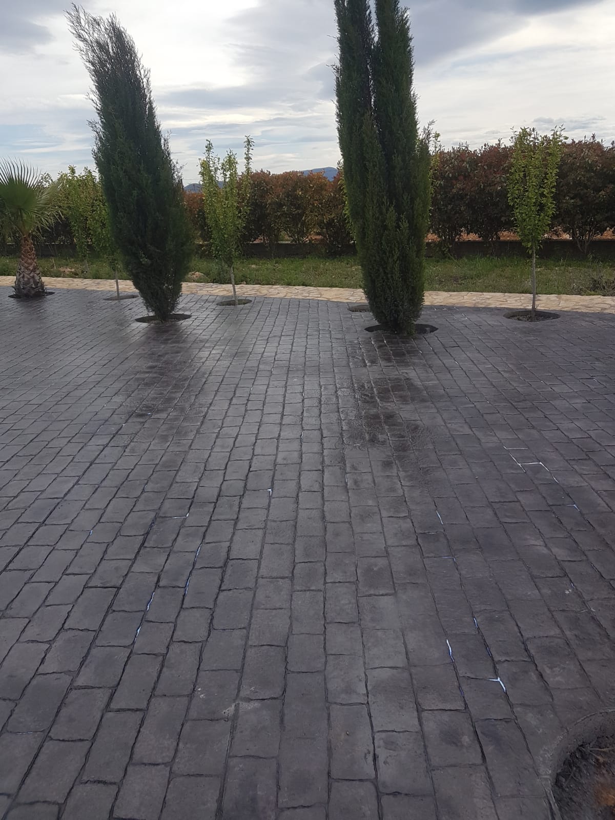 1769778698 Hi018 