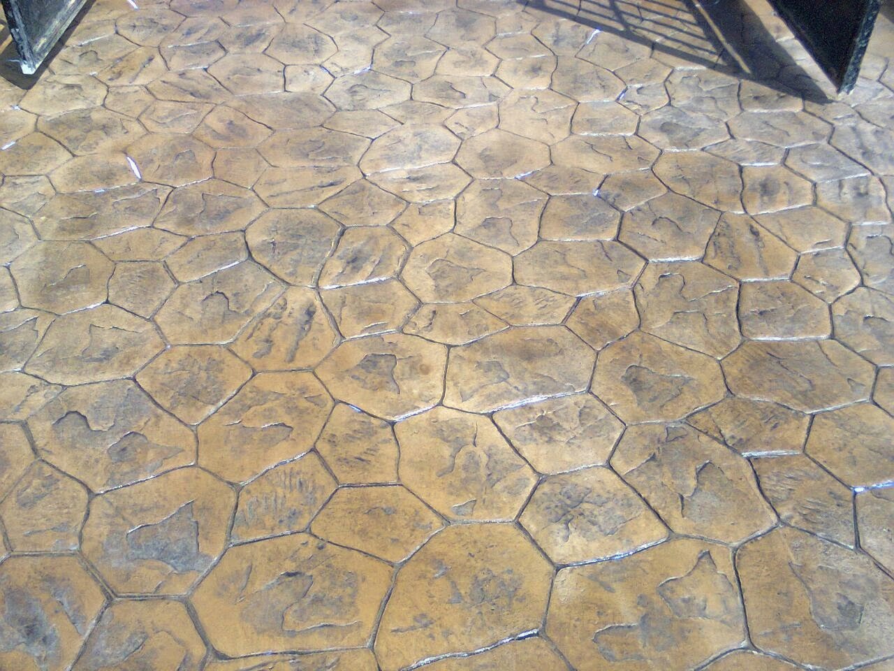 1769778698 Hi019 